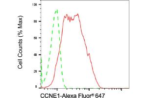 Flow cytometric analysis of CCNE1 expression in HeLa cells using CCNE1 antibody (ABIN7798198), 1:2,000).