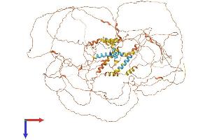 AlphaFold protein structure predicition of Human Recombinant SPATA31C1 Protein, UniprotID P0DKV0 (SPATA31C1 Protein (AA 1-1188) (His tag))
