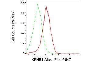 Flow cytometric analysis of KPNB1 expression in HepG2 cells using KPNB1 antibody (ABIN7799157), 1:2,000). (KPNB1 antibody)