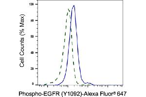 Validation of EGFR knockdown using flow cytometry. (Recombinant EGFR antibody  (pTyr1068))