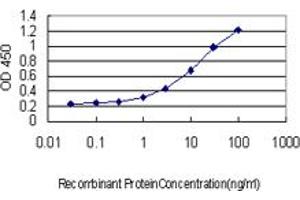 Detection limit for recombinant GST tagged FBXW7 is approximately 0. (FBXW7 antibody  (AA 599-707))