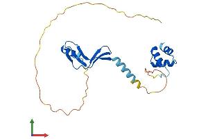 AlphaFold protein structure predicition of Human Recombinant NACA2 Protein, UniprotID Q9H009