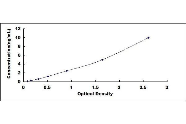 CERS6 ELISA Kit