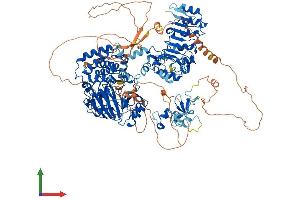 AlphaFold protein structure predicition of Mouse Recombinant Kdm2a Protein, UniprotID P59997 (KDM2A Protein (AA 1-1161) (His tag))