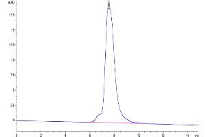 The purity of FITC-Labeled Human CDH17 is greater than 95 % as determined by SEC-HPLC.