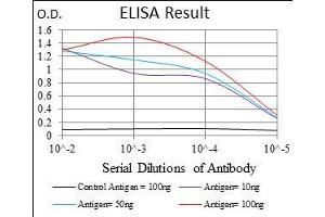 Black line: Control Antigen (100 ng), Purple line: Antigen(10 ng), Blue line: Antigen (50 ng), Red line: Antigen (100 ng), (Caspase 7 antibody  (AA 29-198))