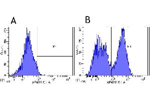 Flow-cytometry using anti-CD40 antibody G28. (Recombinant CD40 antibody)