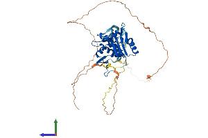AlphaFold protein structure predicition of Human Recombinant KCTD20 Protein, UniprotID Q7Z5Y7