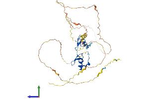 AlphaFold protein structure predicition of Human Recombinant GATA1 Protein, UniprotID P15976 (GATA1 Protein (AA 1-413) (His tag))