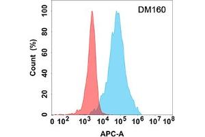 Flow cytometry analysis with Anti-LAG3 (DM160) on Expi293 cells transfected with human LAG3 (Blue histogram) or Expi293 transfected with irrelevant protein (Red histogram). (LAG3 antibody  (AA 23-245))