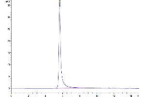 Size-exclusion chromatography-High Pressure Liquid Chromatography (SEC-HPLC) image for G Protein-Coupled Receptor, Family C, Group 5, Member D (GPRC5D) (AA 1-300) (Active) protein-VLP (ABIN7448167)