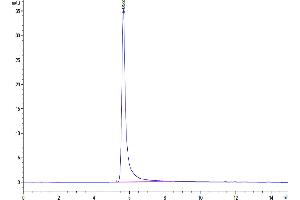 The purity of Cynomolgus GPRC5D VLP is greater than 95 % as determined by SEC-HPLC. (GPRC5D Protein-VLP (AA 1-300))