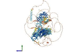 AlphaFold protein structure predicition of Mouse Recombinant Map3k4 Protein, UniprotID O08648