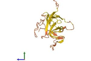 AlphaFold protein structure predicition of Human Recombinant ERVK11-1 Protein, UniprotID P61568