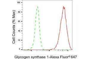 Flow cytometric analysis of Glycogen synthase 1 expression in HepG2 cells using Glycogen synthase 1 antibody (ABIN7798773), 1:2,000).