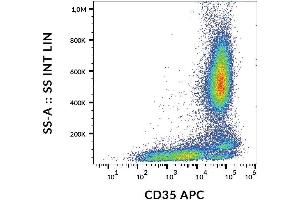 Surface staining of CD35 in human peripheral blood with anti-CD35 (E11) APC.