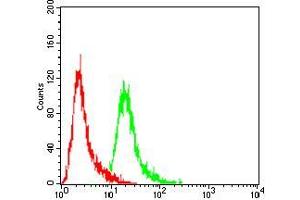 Flow cytometric analysis of Hela cells using EZH2 mouse mAb (green) and negative control (red). (EZH2 antibody  (AA 1-194))