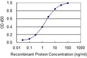 Detection limit for recombinant GST tagged TRAM2 is 0. (TRAM2 antibody  (AA 310-369))