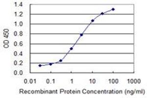 Detection limit for recombinant GST tagged HS6ST1 is 0. (HS6ST1 antibody  (AA 303-401))