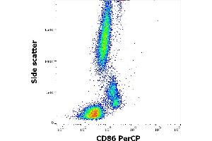 Flow cytometry surface staining pattern of human peripheral whole blood stained using anti-human CD86 (Bu63) PerCP antibody (10 μL reagent / 100 μL of peripheral whole blood). (CD86 antibody  (PerCP))