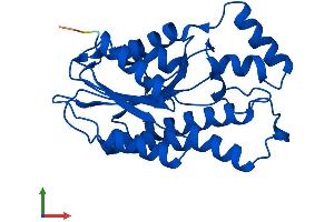 AlphaFold protein structure predicition of Mouse Recombinant Spr Protein, UniprotID Q64105 (SPR Protein (AA 1-261) (His tag))