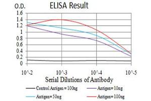 Fig. (ULK2 antibody  (AA 1-155))
