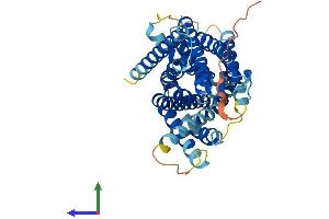 AlphaFold protein structure predicition of Human Recombinant SLC38A8 Protein, UniprotID A6NNN8 (SLC38A8 Protein (AA 1-435) (His tag))