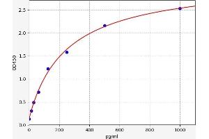 Cardiotrophin 1 ELISA Kit