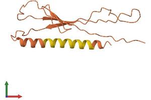 AlphaFold protein structure predicition of Human Recombinant ERC2-IT1 Protein, UniprotID O76042 (ERC2-IT1 Protein (AA 1-136) (His tag))