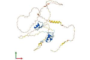 AlphaFold protein structure predicition of Human Recombinant GATA1 Protein, UniprotID P15976 (GATA1 Protein (AA 1-413) (His tag))