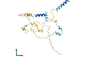 Protein Structure (PS) image for Myozenin 2 (MYOZ2) (AA 1-264) protein (His tag) (ABIN7549639)