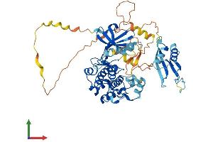 Protein Structure (PS) image for serine threonine Kinase 39 (STK39) (AA 1-556) protein (His tag) (ABIN7556395)