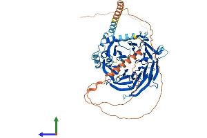 AlphaFold protein structure predicition of Human Recombinant DCAF8 Protein, UniprotID Q5TAQ9