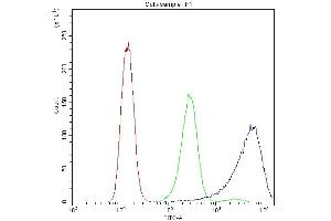 Flow Cytometry analysis of A431 cells using anti-Calpastatin antibody (ABIN4886503). (Calpastatin antibody  (Middle Region))