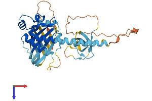 AlphaFold protein structure predicition of Mouse Recombinant Sh3yl1 Protein, UniprotID O08641 (SH3YL1 Protein (AA 1-340) (His tag))