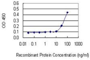 Detection limit for recombinant GST tagged RPL18A is 10 ng/ml as a capture antibody. (RPL18A antibody  (AA 77-176))