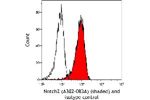 Flow Cytometry (FACS) image for anti-Notch 2 (NOTCH2) (AA 2250-2300) antibody (ABIN7454804) (NOTCH2 antibody  (AA 2250-2300))