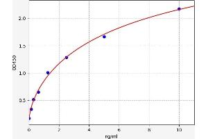 Typical standard curve (ALOX5 ELISA Kit)