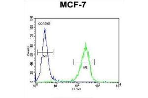 Flow Cytometry (FACS) image for anti-CO027 antibody (ABIN2995852) (CO027 antibody)