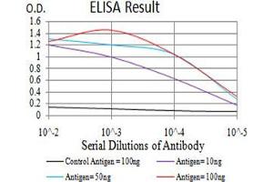 Black line: Control Antigen (100 ng);Purple line: Antigen (10ng); Blue line: Antigen (50 ng); Red line:Antigen (100 ng) (IL1R1 antibody  (AA 18-167))