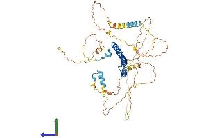 AlphaFold protein structure predicition of Mouse Recombinant Nfil3 Protein, UniprotID O08750