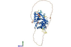 Protein Structure (PS) image for Retinoid X Receptor, alpha (RXRA) (AA 1-462) protein (His tag) (ABIN7555379)