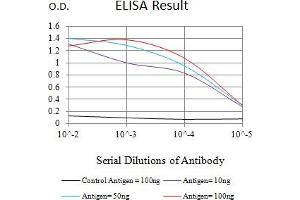 Black line: Control Antigen (100 ng),Purple line: Antigen (10 ng), Blue line: Antigen (50 ng), Red line:Antigen (100 ng) (MUC16 antibody  (AA 1-200))