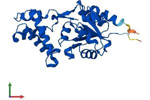 AlphaFold protein structure predicition of Human Recombinant HDHD3 Protein, UniprotID Q9BSH5