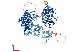 AlphaFold protein structure predicition of Mouse Recombinant Aasdh Protein, UniprotID Q80WC9 (AASDH Protein (AA 1-1100) (His tag))