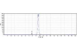 anti-CXCR4 (Ulocuplumab Biosimilar) antibody