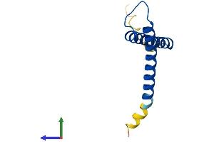 AlphaFold protein structure predicition of Mouse Recombinant Timm8a2 Protein, UniprotID Q4FZG7