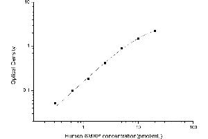 Typical standard curve (Mesothelin Related Peptide ELISA Kit)