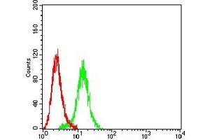 Flow Cytometry (FACS) image for anti-Insulin-Like Growth Factor 2 mRNA Binding Protein 3 (IGF2BP3) (AA 430-579) antibody (ABIN7193581)