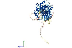 AlphaFold protein structure predicition of Mouse Recombinant Mgat4e Protein, UniprotID A6H684 (Mgat4e Protein (AA 1-439) (His tag))
